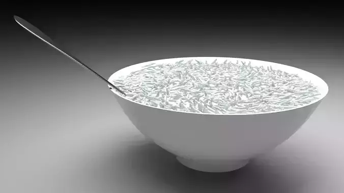 Bowl of Rice