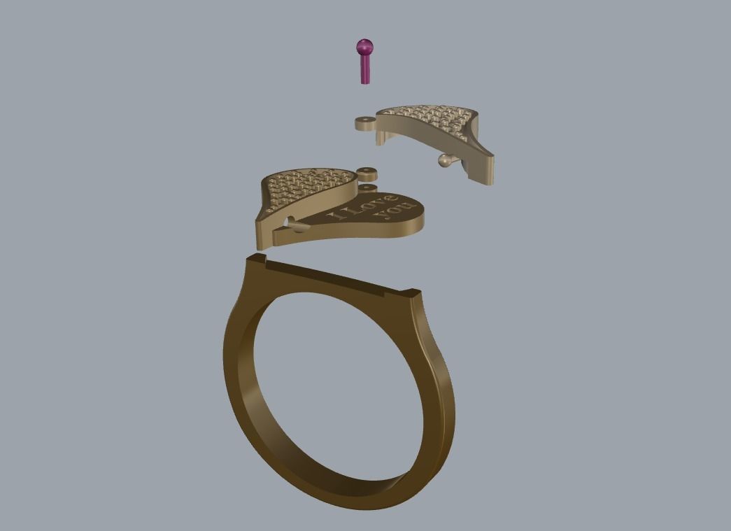 R 115 Heart Transform ring 3D print model_17