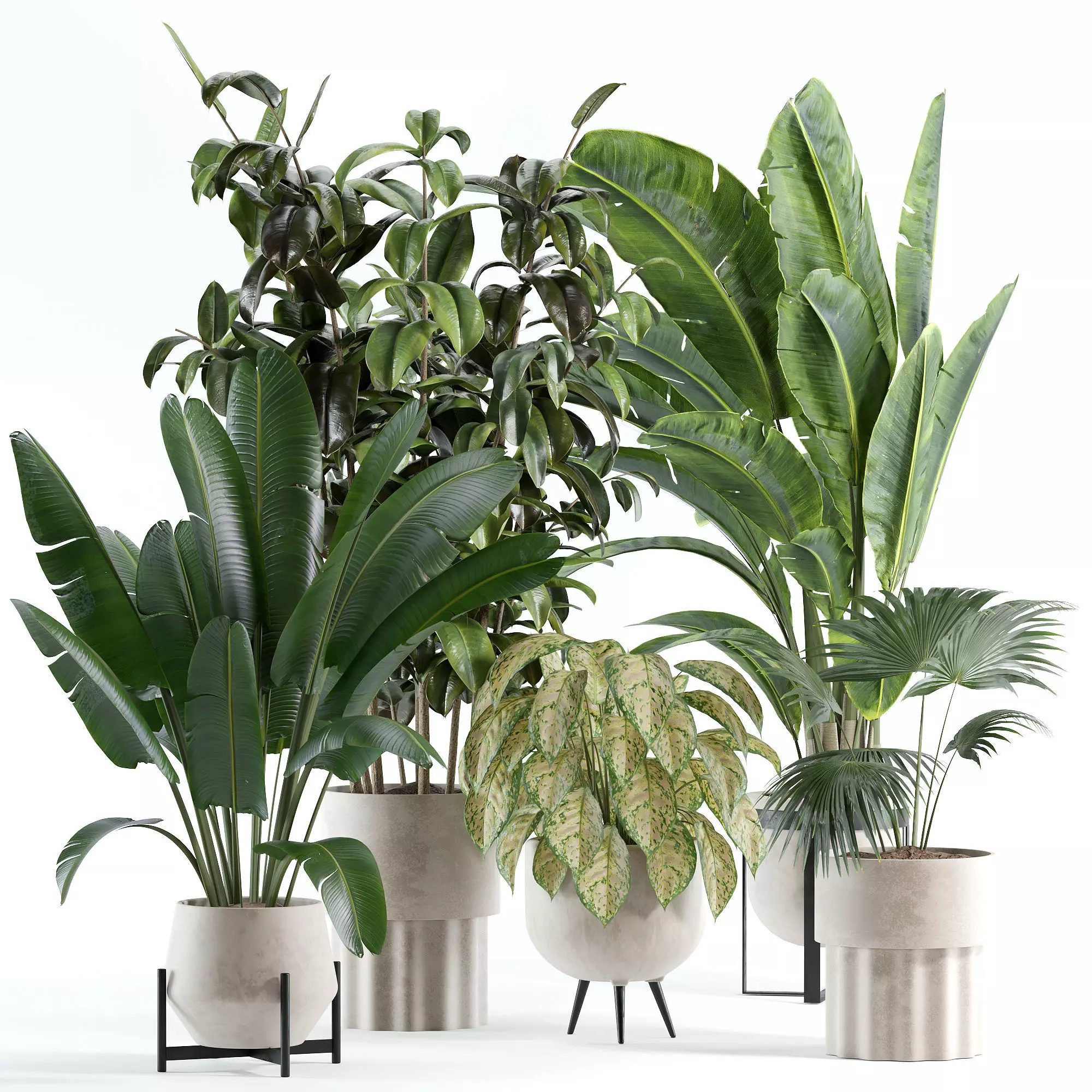 indoor plant 308 3D model