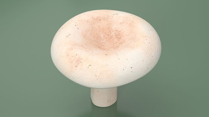 Milk Mushroom 3D model 5