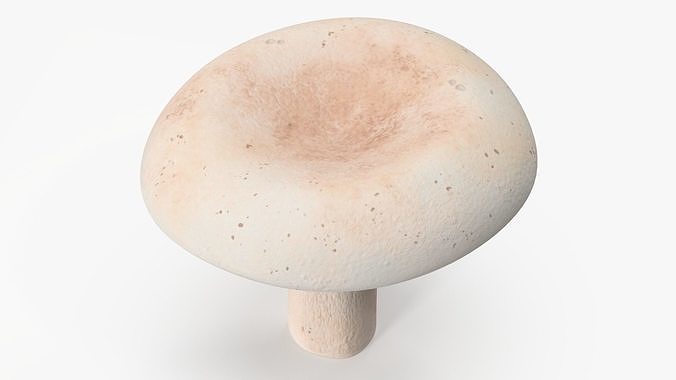 Milk Mushroom 3D model 7