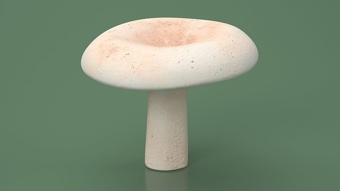 Milk Mushroom 3D model 4