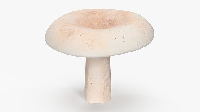 Milk Mushroom 3D model
