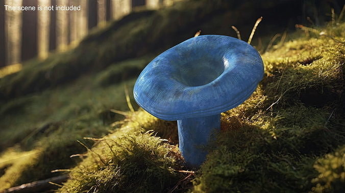 Lactarius Indigo 3D model 3