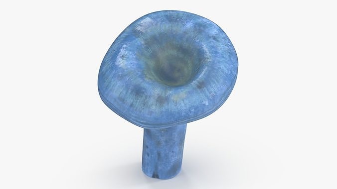 Lactarius Indigo 3D model 7