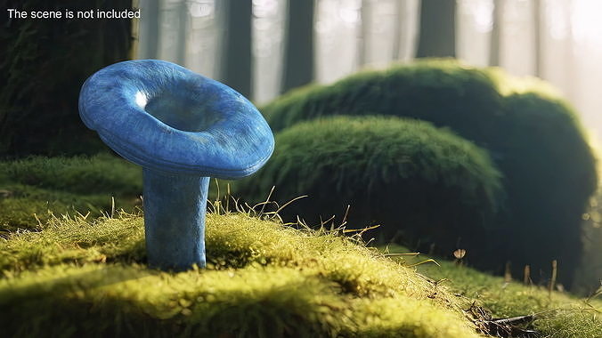 Lactarius Indigo 3D model 2
