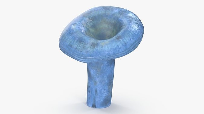 Lactarius Indigo 3D model