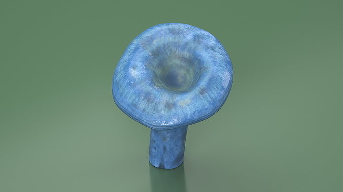 Lactarius Indigo 3D model 5