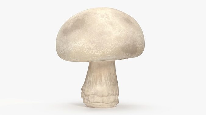 Champignon 3D model 6