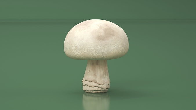 Champignon 3D model 4