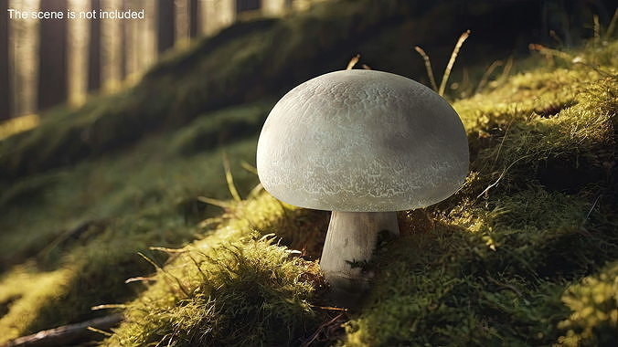 Champignon 3D model 3