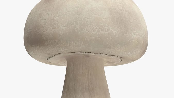 Champignon 3D model 7