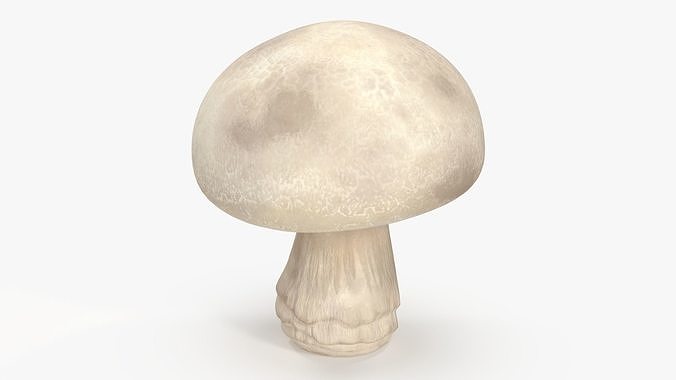 Champignon 3D model
