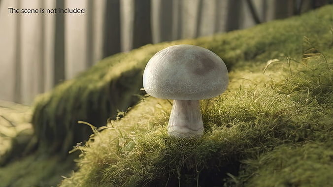 Champignon 3D model 2