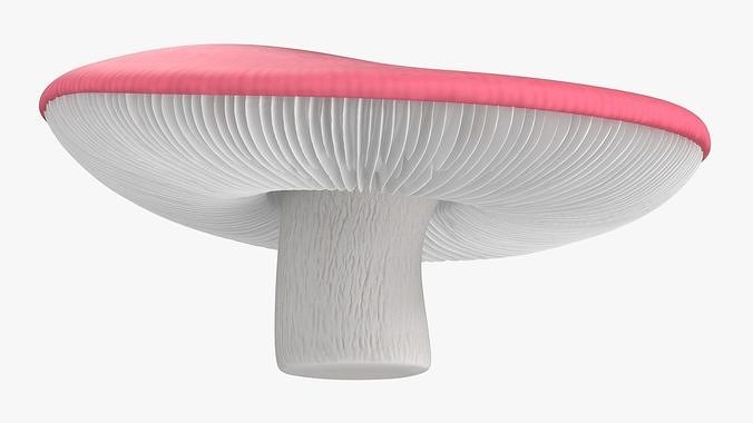Russula 3D model 6