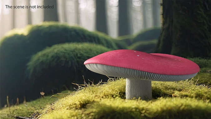 Russula 3D model 3