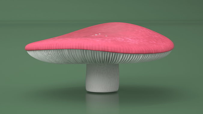 Russula 3D model 5