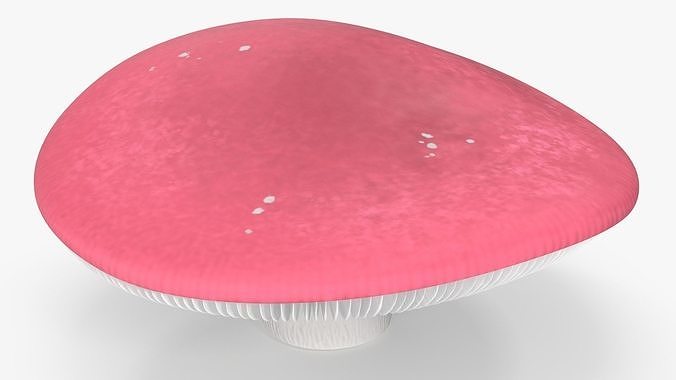 Russula 3D model 7