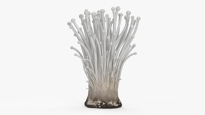 Enokitake