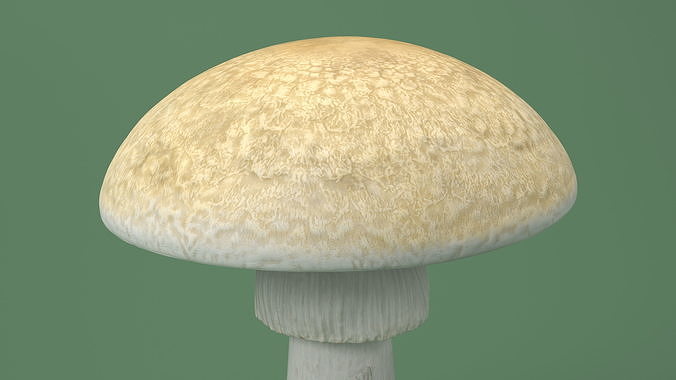 Toadstool 3D model 5