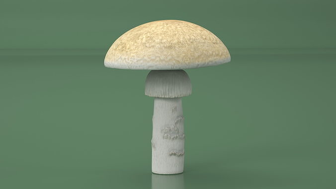 Toadstool 3D model 4