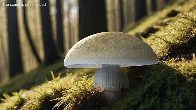 Toadstool 3D model 2