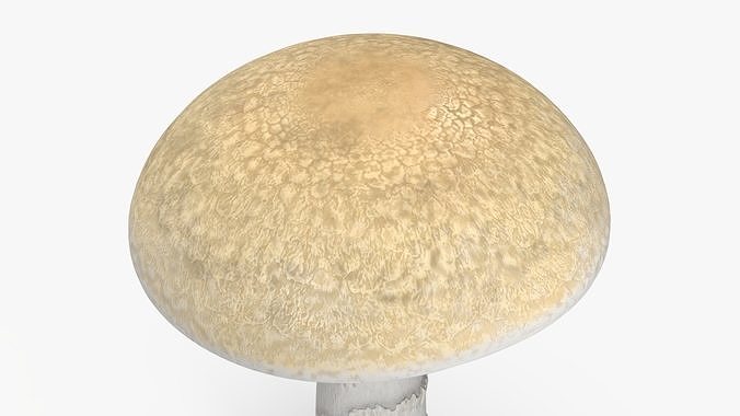 Toadstool 3D model 7