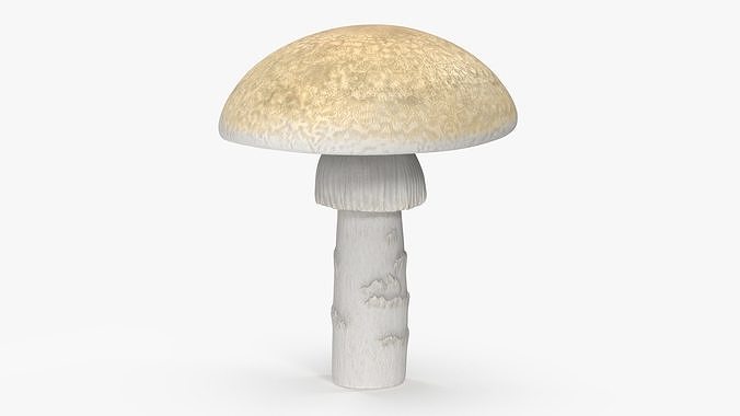Toadstool 3D model 6