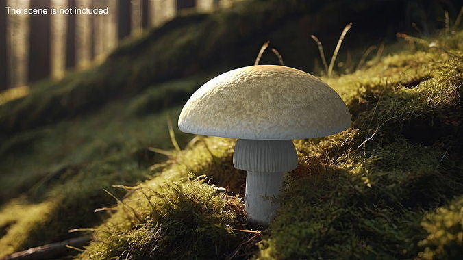 Toadstool 3D model 3