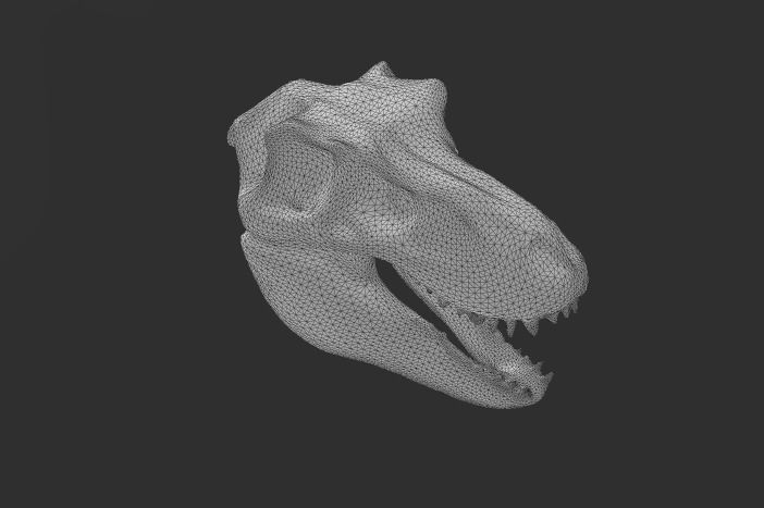 CRANEO TIRANOSAURIO REX 3D print model_7