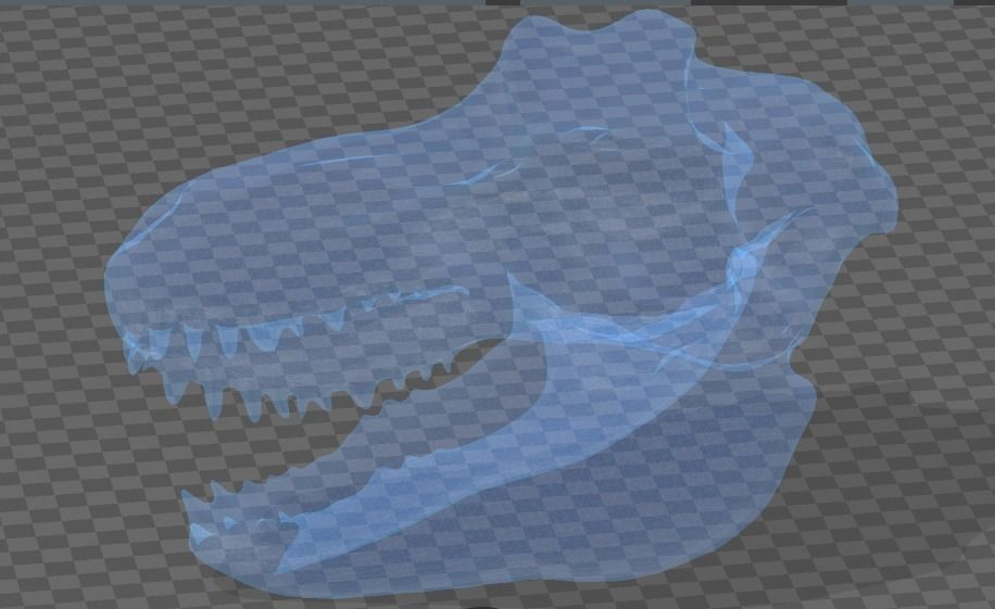 CRANEO TIRANOSAURIO REX 3D print model_8