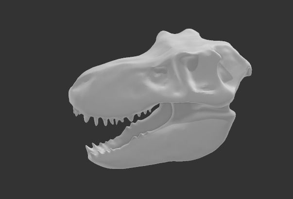 CRANEO TIRANOSAURIO REX 3D print model_5