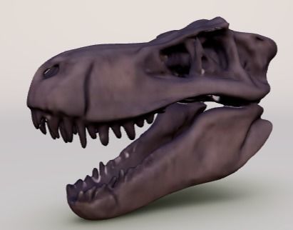 CRANEO TIRANOSAURIO REX 3D print model_1