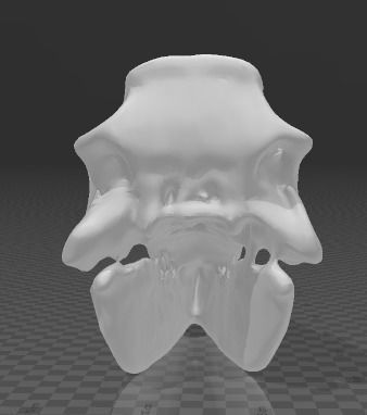 CRANEO TIRANOSAURIO REX 3D print model_6