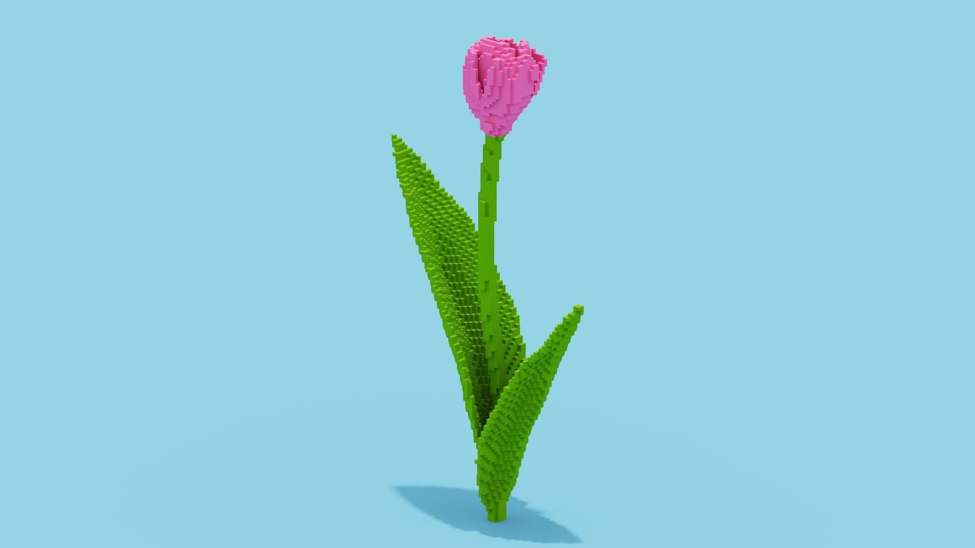 Tulip Voxel Low-poly 3D model_9