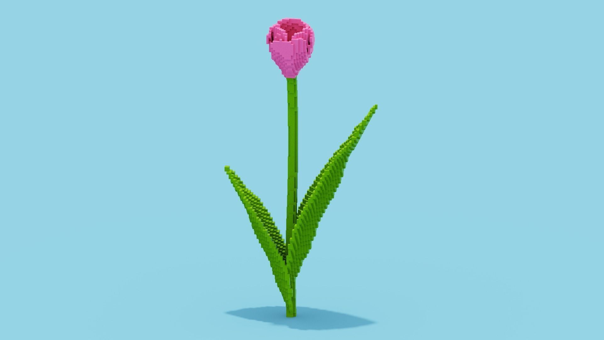 Tulip Voxel Low-poly 3D model_2