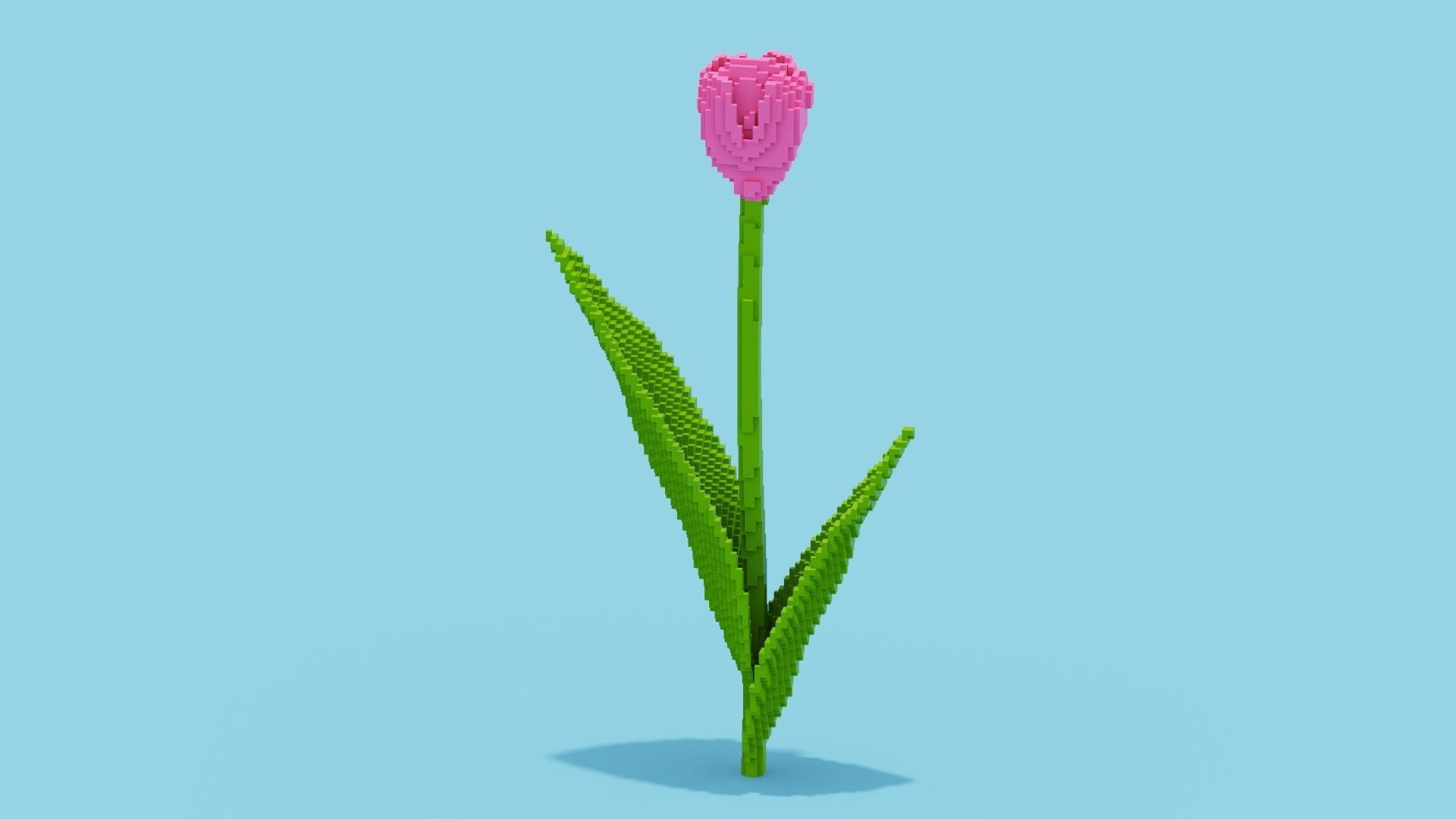 Tulip Voxel Low-poly 3D model_8