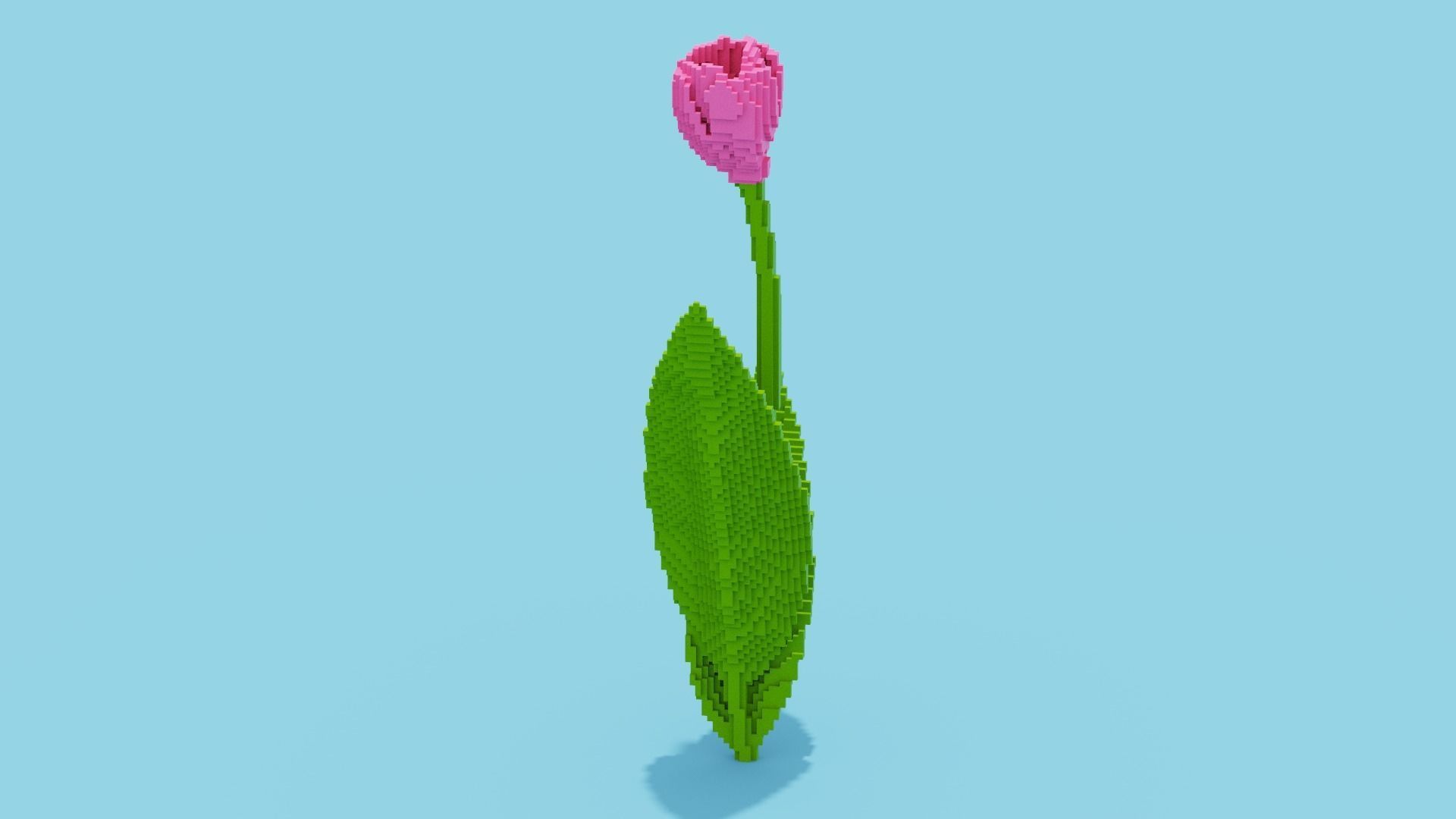Tulip Voxel Low-poly 3D model_5