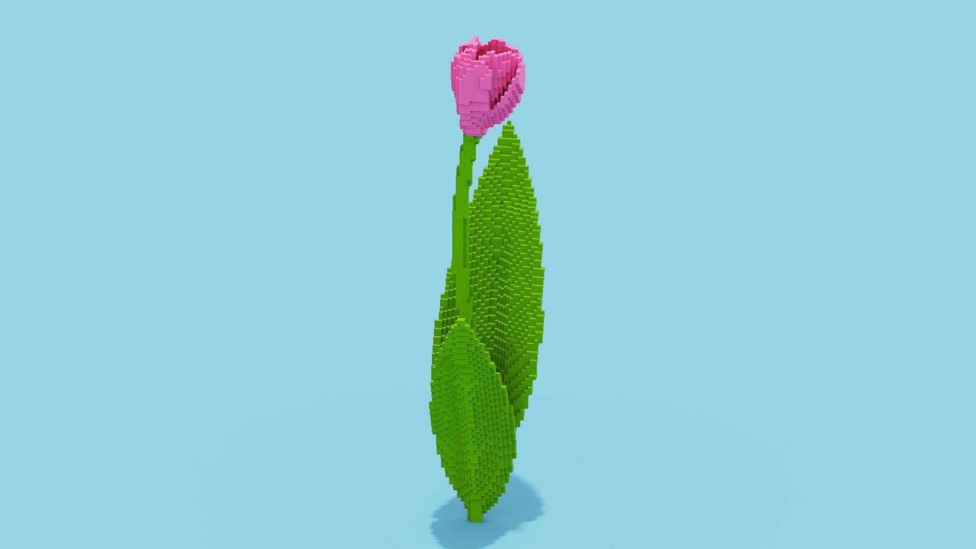 Tulip Voxel Low-poly 3D model_11