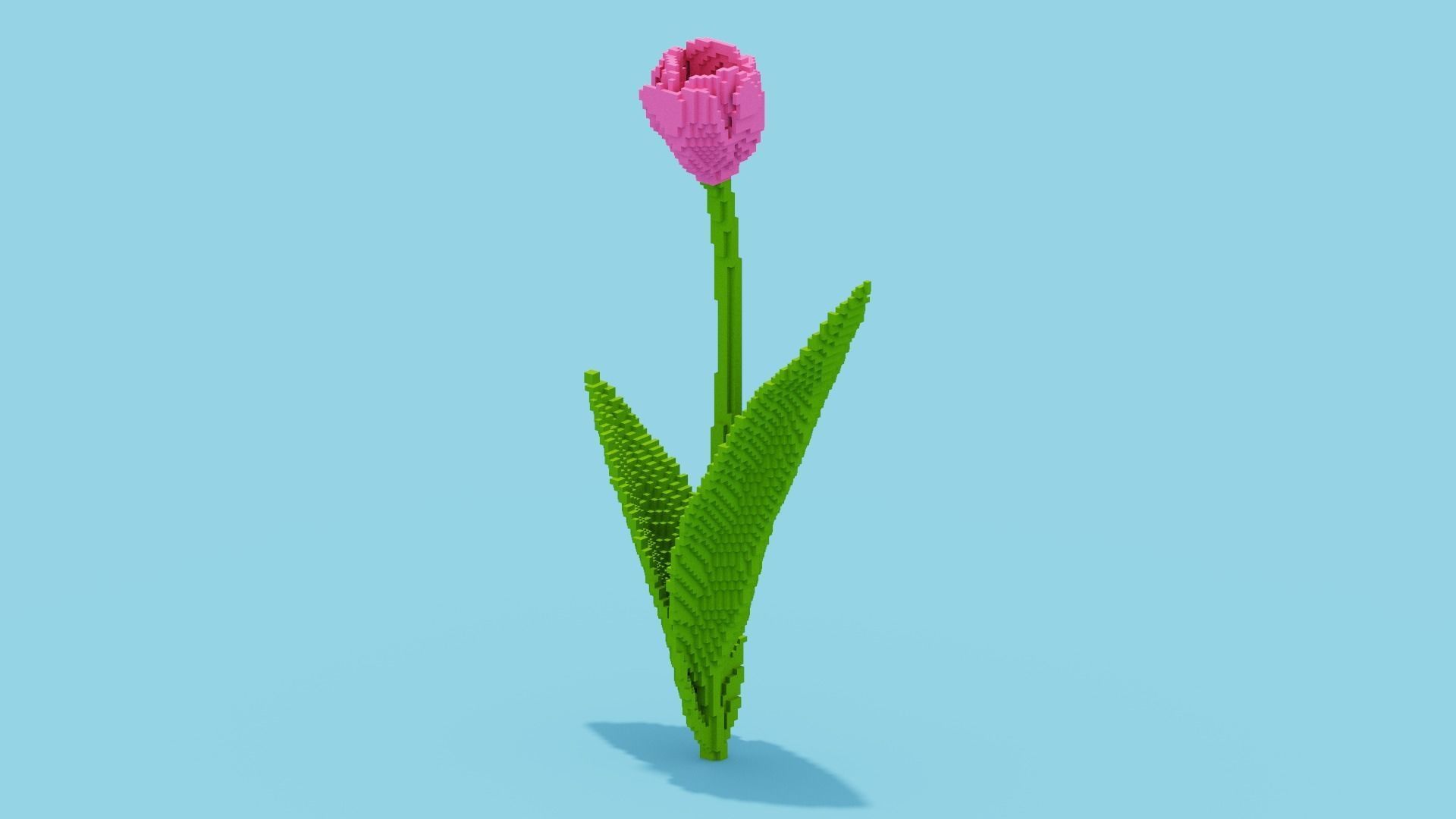 Tulip Voxel Low-poly 3D model_3
