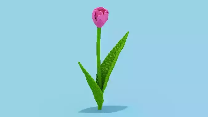 Tulip Voxel