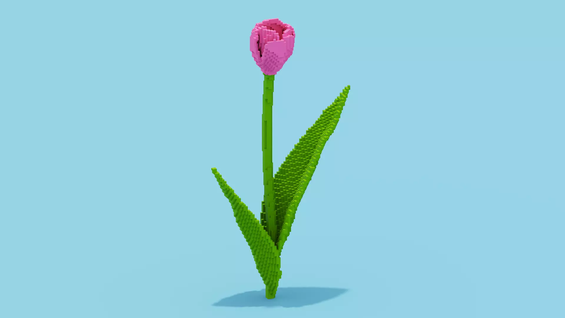 Tulip Voxel Low-poly 3D model_0