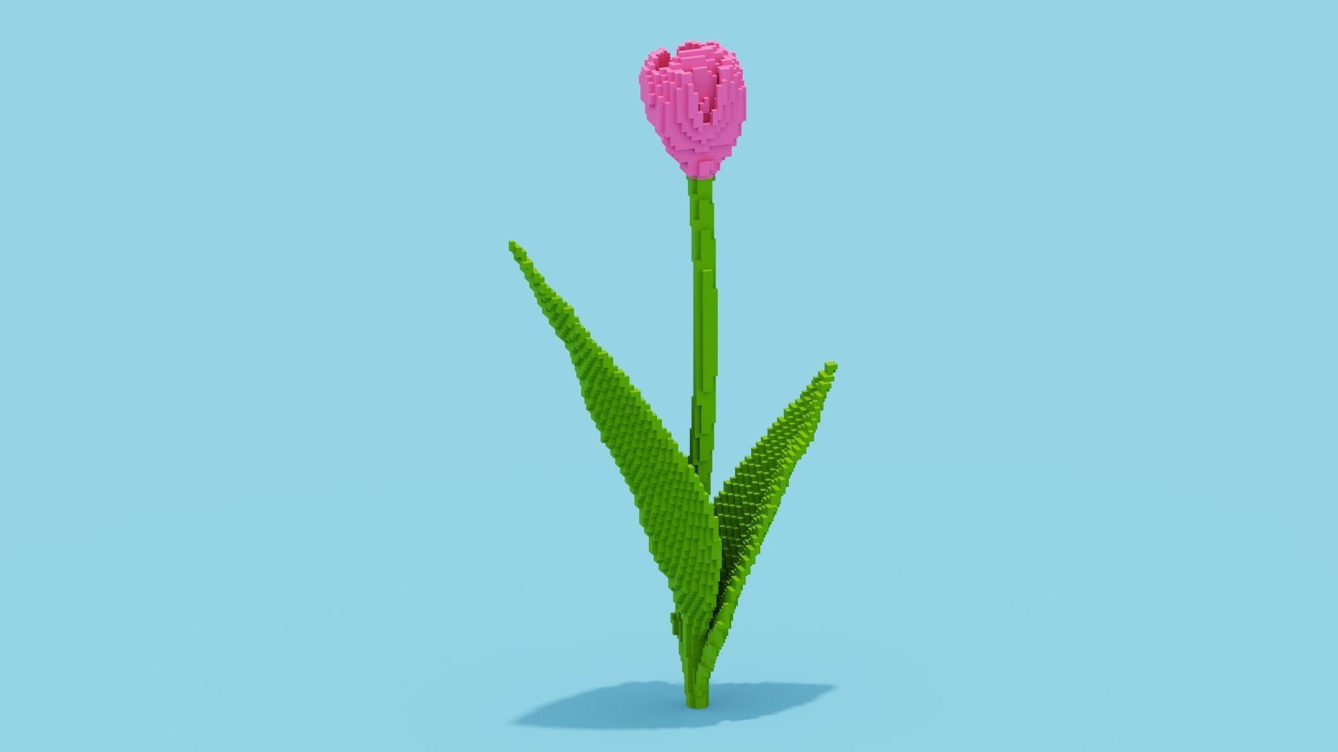 Tulip Voxel Low-poly 3D model_7