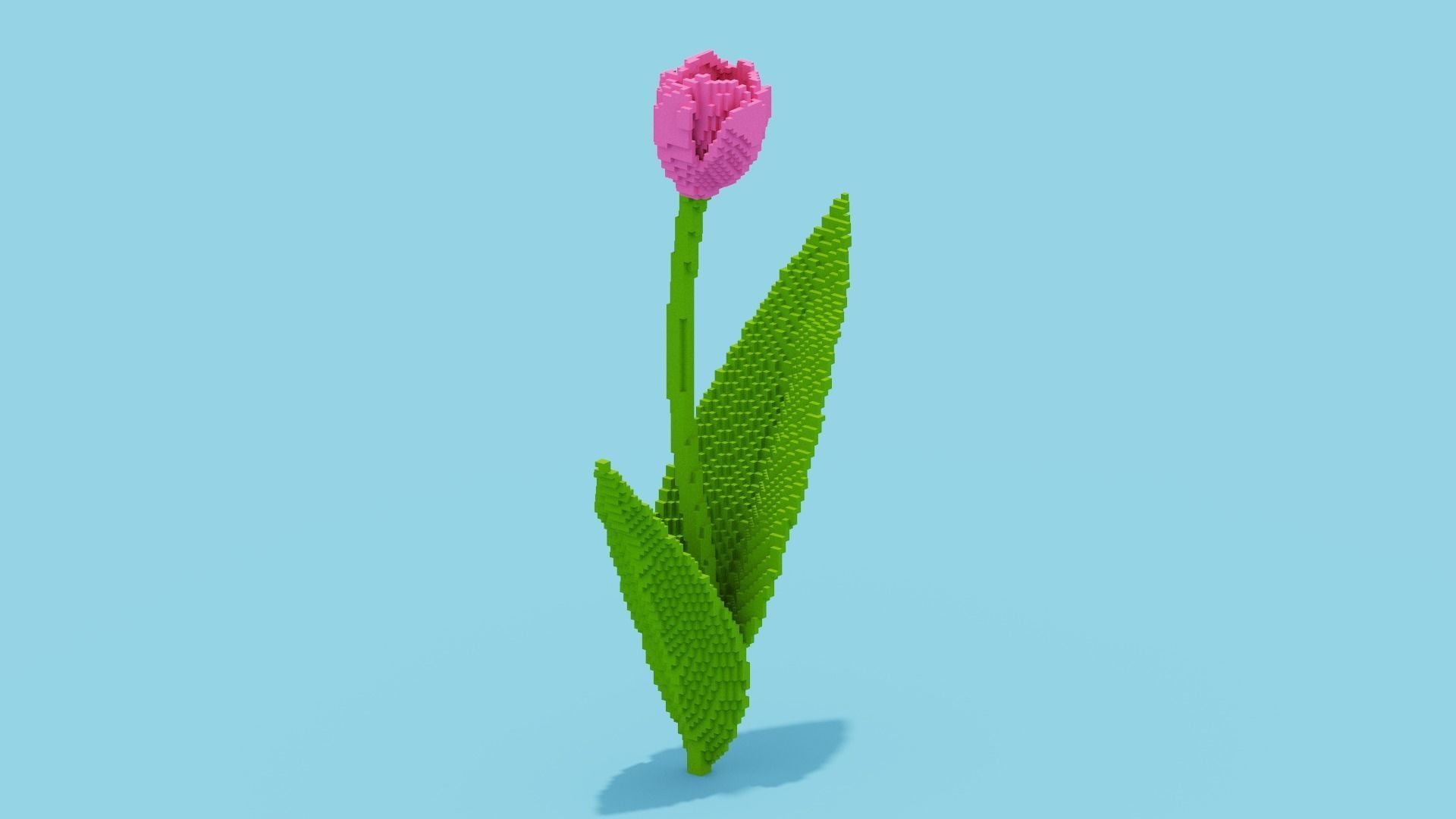 Tulip Voxel Low-poly 3D model_1