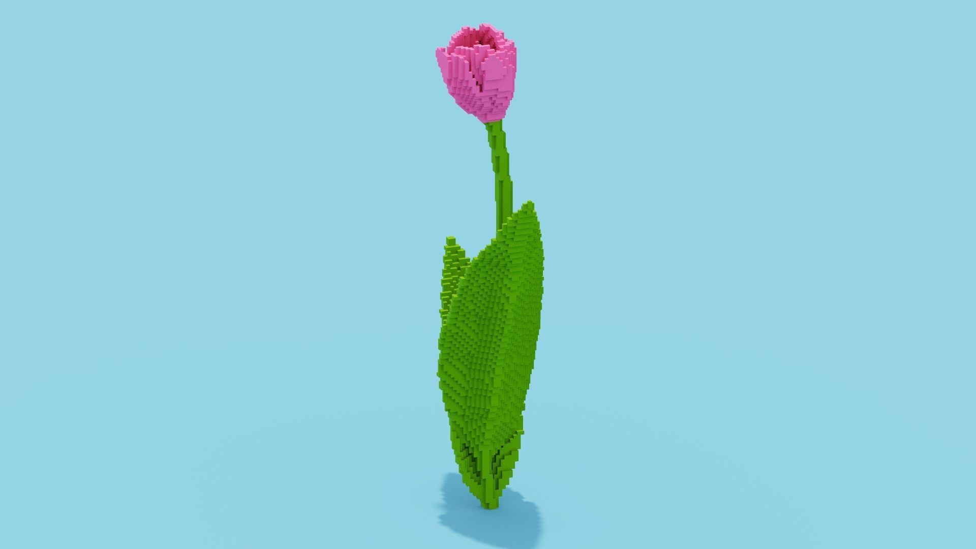 Tulip Voxel Low-poly 3D model_4