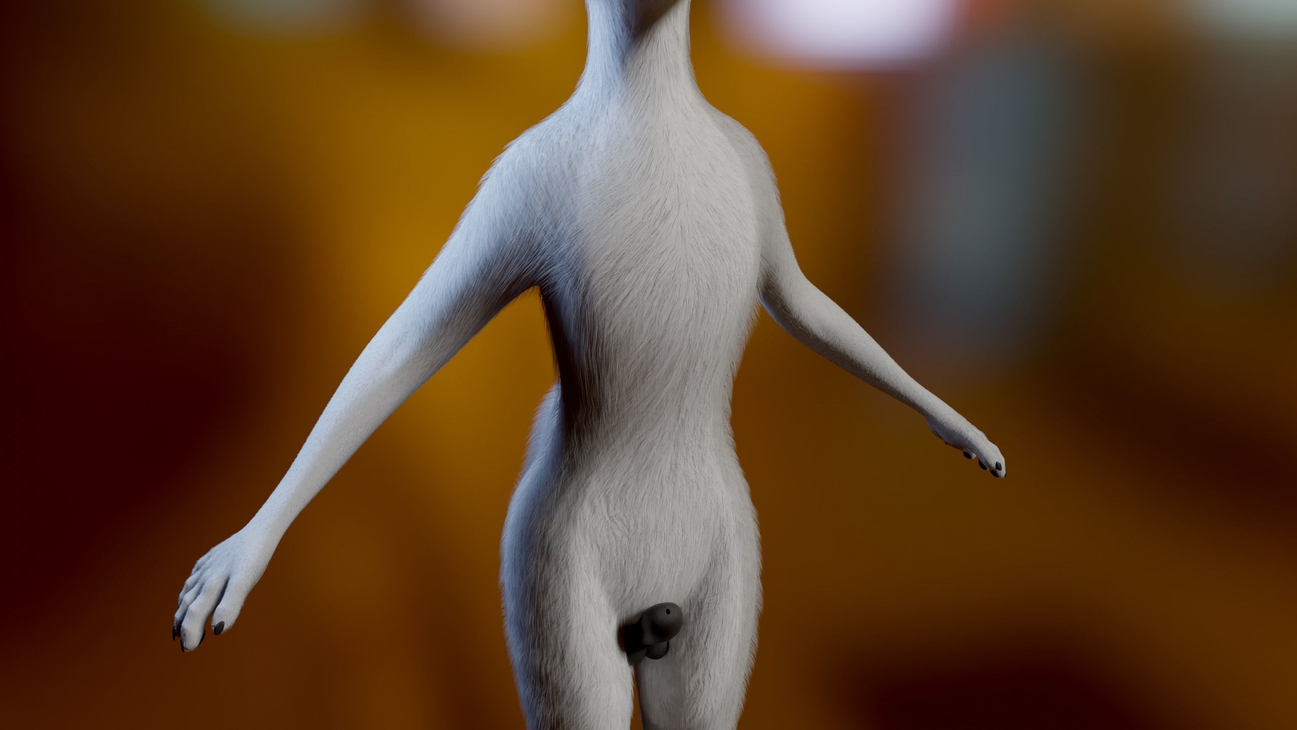 Koda Anthro Wolf Low-poly 3D model_7