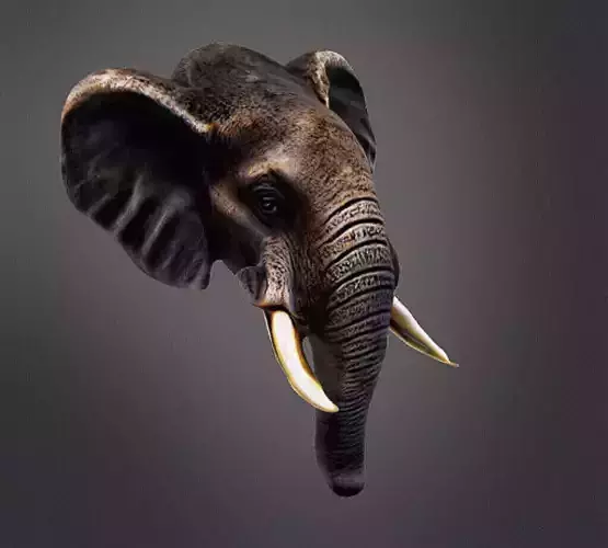 Elephant head wall decor