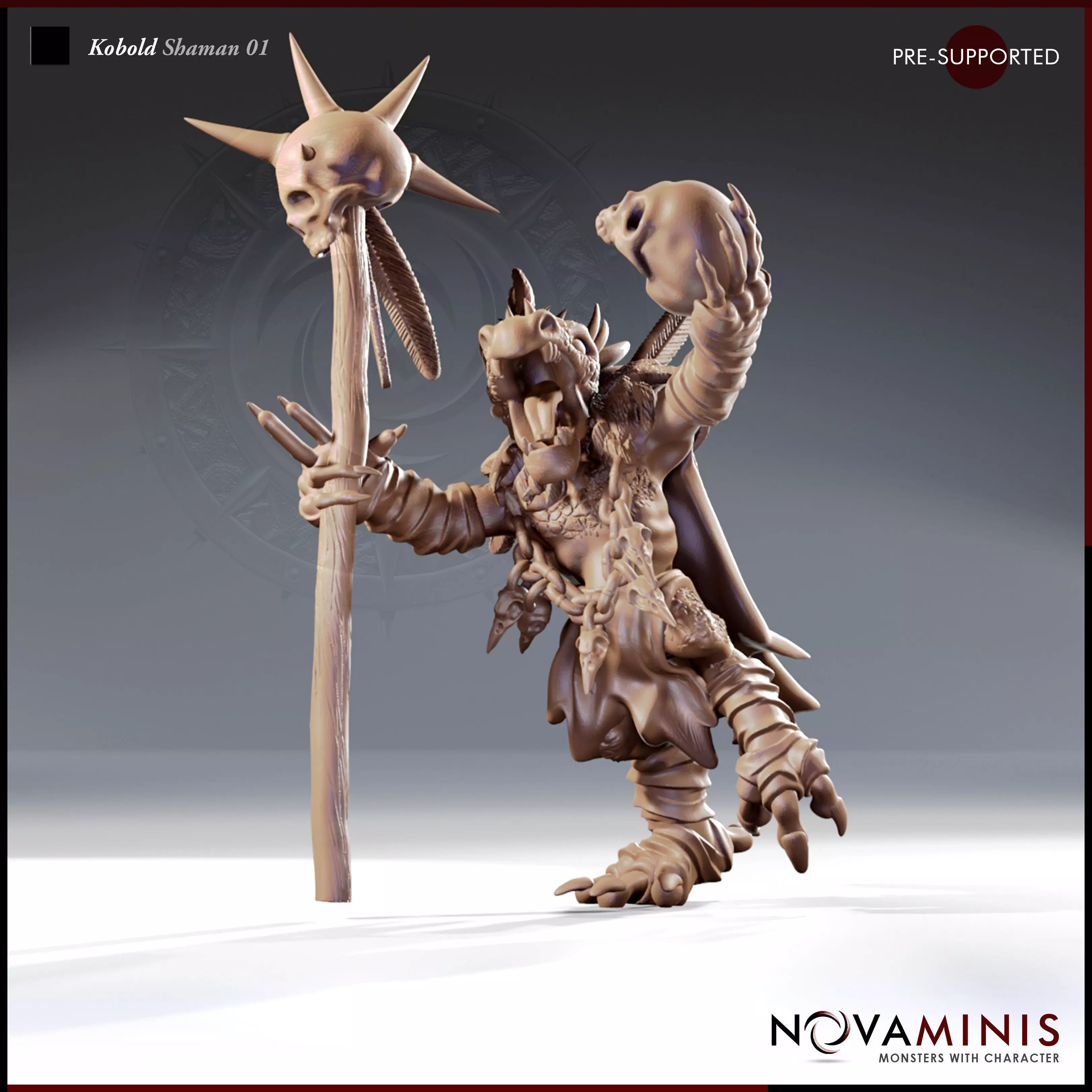 Kobold Shaman 01 3D print model_0