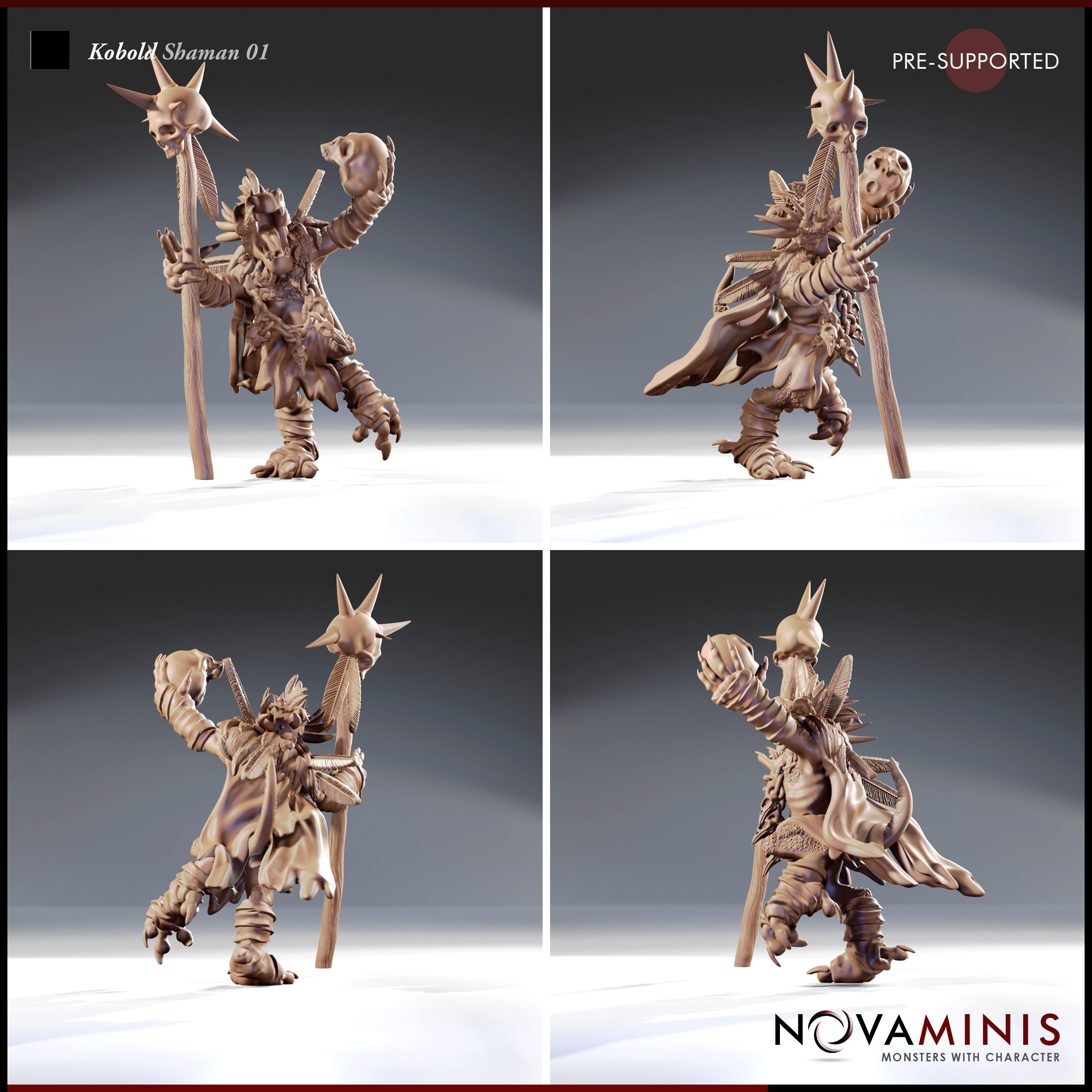 Kobold Shaman 01 3D print model_2