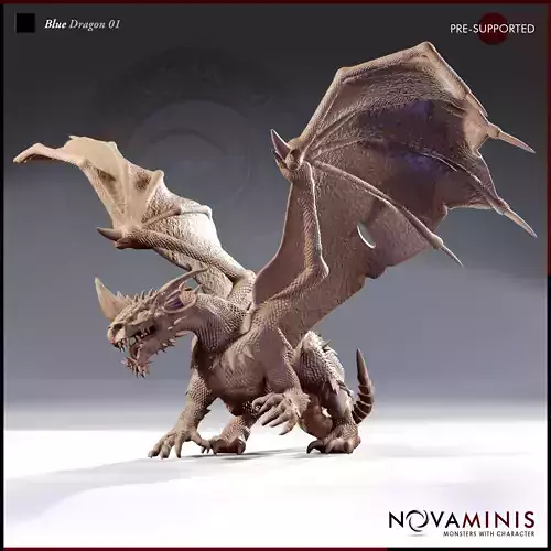 Blue Dragon 01